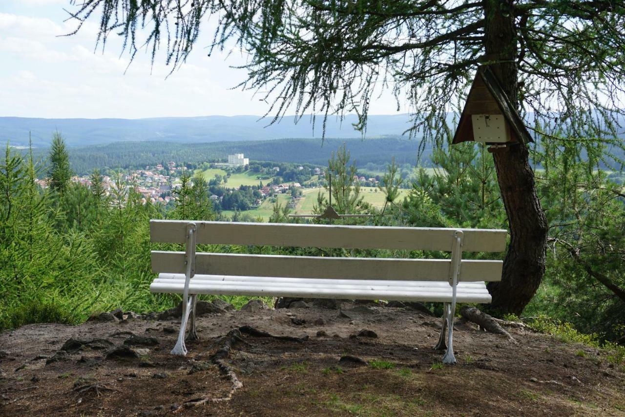 Wanderlust - Thueringer Wald, Rennsteig, Finsterbergen Appartement Friedrichroda Buitenkant foto